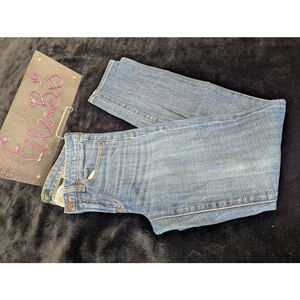 J Crew Denim Toothpick 25
